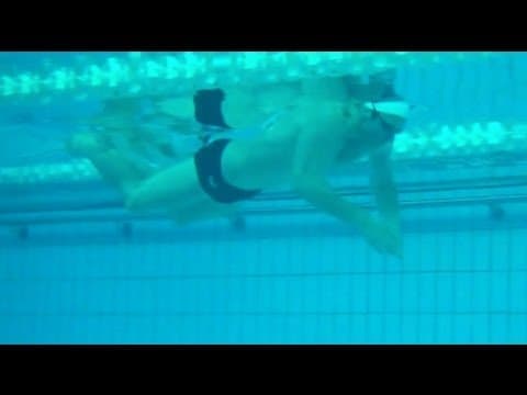 How To Pull In Butterfly